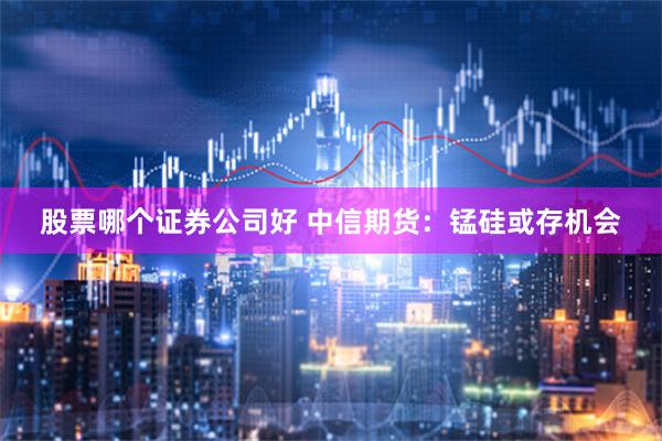 股票哪个证券公司好 中信期货：锰硅或存机会