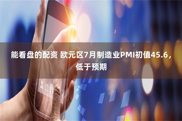 能看盘的配资 欧元区7月制造业PMI初值45.6，低于预期