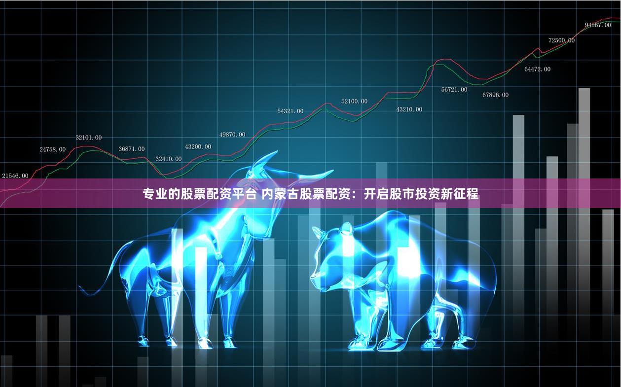 专业的股票配资平台 内蒙古股票配资：开启股市投资新征程